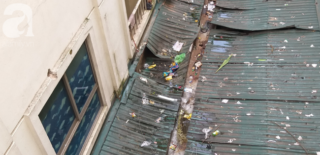 Bé gái 6 tuổi rơi từ tầng 14 chung cư xuống mái tôn lúc mẹ vắng nhà đã tử vong-1