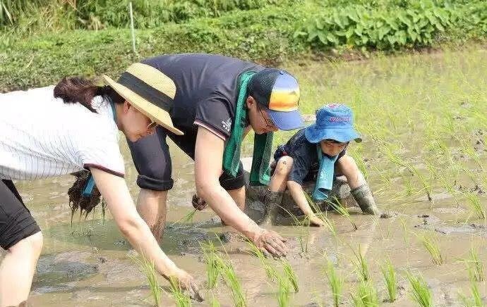 Nhà không có gì ngoài nổi tiếng và tiền bạc nhưng Nữ hoàng làng thể thao lại nuôi dạy 3 con như thế này-5