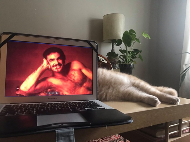 Những khoảnh khắc lớ ngớ lại vớ được ảnh... cười-5