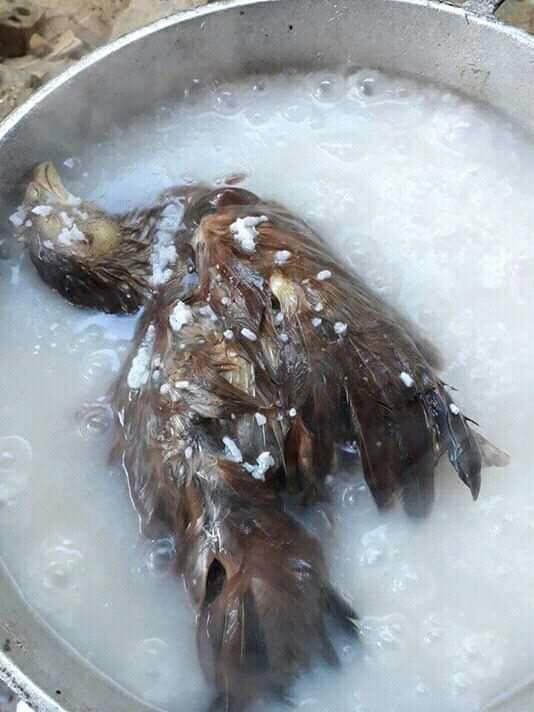 Chồng dặn nấu cháo gà nguyên con và thành quả của cô vợ đảm khiến dân mạng sốc toàn tập-1