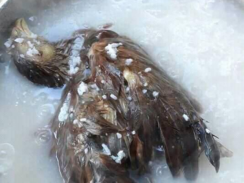 Tuần nào tôi cũng phải nấu một nồi cháo gà nấm vì vừa ngon vừa bổ, mùa đông ăn hợp vô cùng-7