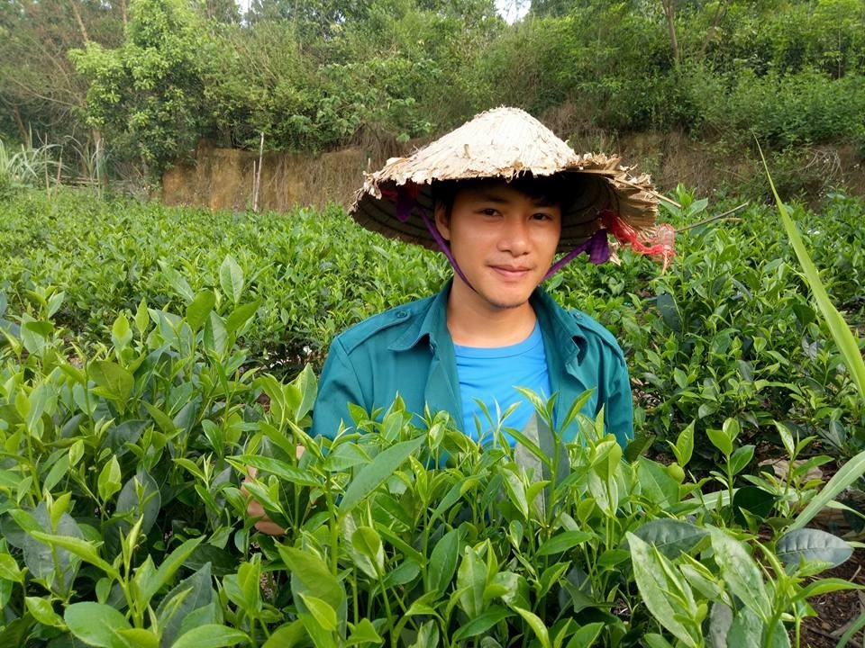 Đam mê trồng chè, ướp sen, cử nhân báo chí rời phố về quê lập nghiệp-1