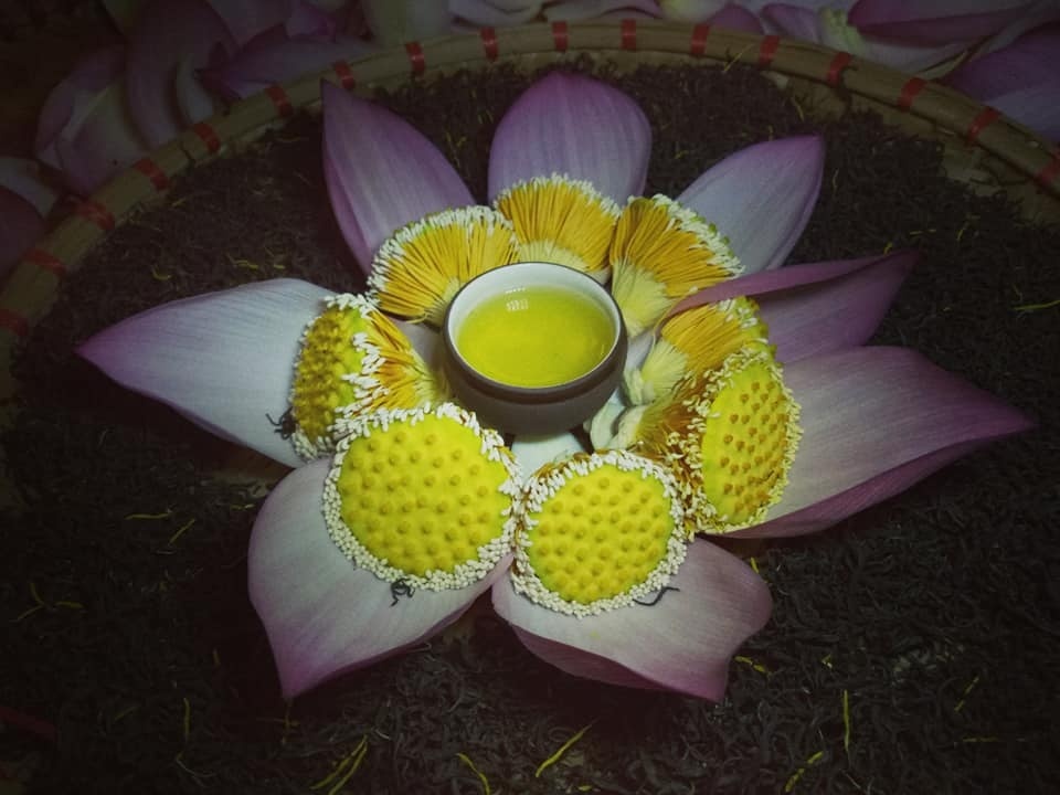 Đam mê trồng chè, ướp sen, cử nhân báo chí rời phố về quê lập nghiệp-9