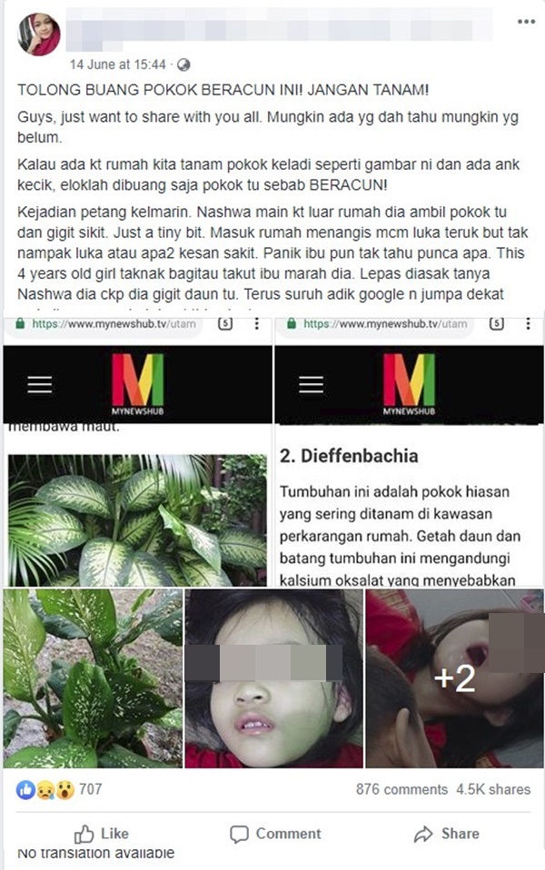 Bé gái 4 tuổi bị co giật, sưng môi, nguy hiểm tính mạng vì cắn phải lá của loại cây mà hầu như nhà nào cũng trồng trong nhà-1