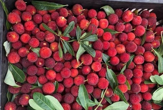 Món ăn nhập ngoại gây sốt, làm mưa làm gió một thời rồi mất hút-4