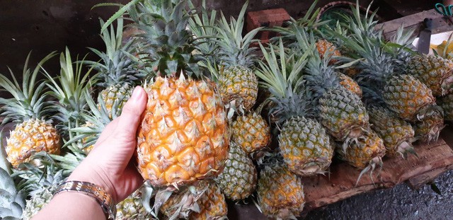 Nước trái cây ép nguyên chất giá rẻ cháy hàng ngày nắng nóng: Ra bao nhiêu hết bấy nhiêu-2