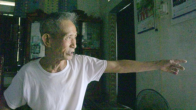 Bí ẩn ngôi mộ cổ nằm giữa quần thể lộc vừng hơn 1.000 năm tuổi-2