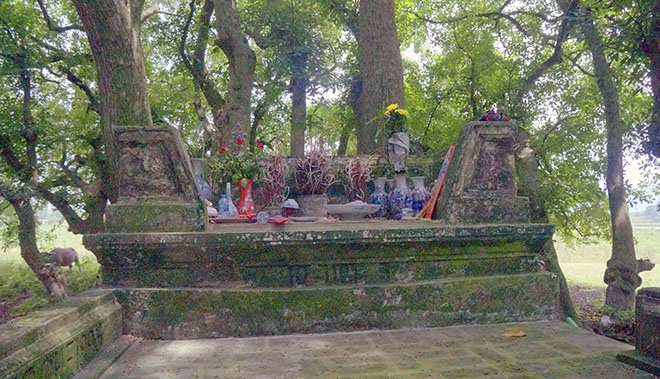 Bí ẩn ngôi mộ cổ nằm giữa quần thể lộc vừng hơn 1.000 năm tuổi-3