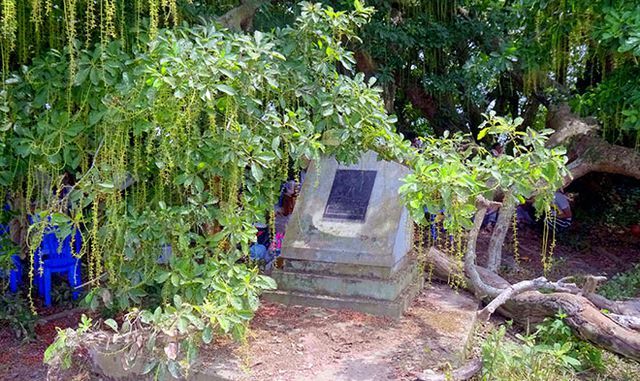 Gò lộc vừng ngàn năm tuổi độc nhất vô nhị ở Việt Nam-1