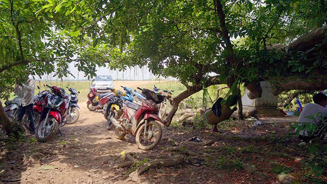 Gò lộc vừng ngàn năm tuổi độc nhất vô nhị ở Việt Nam-3