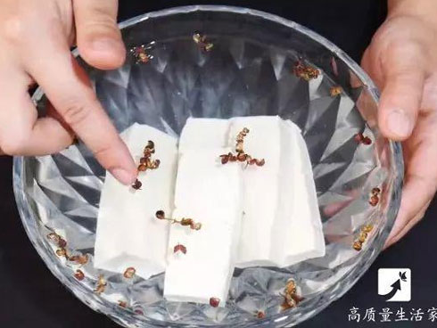 5 món luộc, hấp... siêu thanh mát cho ngày Chủ nhật, cả nhà sợ gì nắng nóng-6