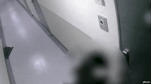 Kẻ biến thái theo chân cô gái về đến tận nhà để xin ngủ nhờ, bị nạn nhân cự tuyệt vẫn lảng vảng trước cửa hơn 15 phút-2