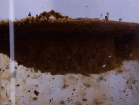 Thực phẩm nào có thể ăn được dù quá hạn sử dụng?-1