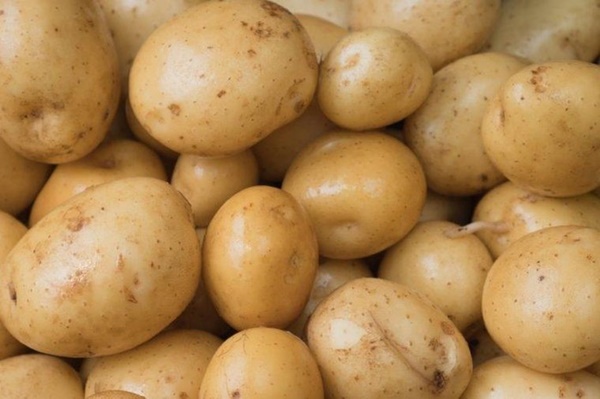 2 loại đau báo hiệu ung thư ruột và 4 kiểu người nên đi khám ngay lập tức để ngăn chặn mầm bệnh-2