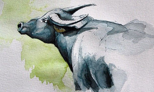 3 con giáp càng kết hôn muộn càng phát tài rực rỡ, giàu sang chói lọi, tiền bạc chất đống-3