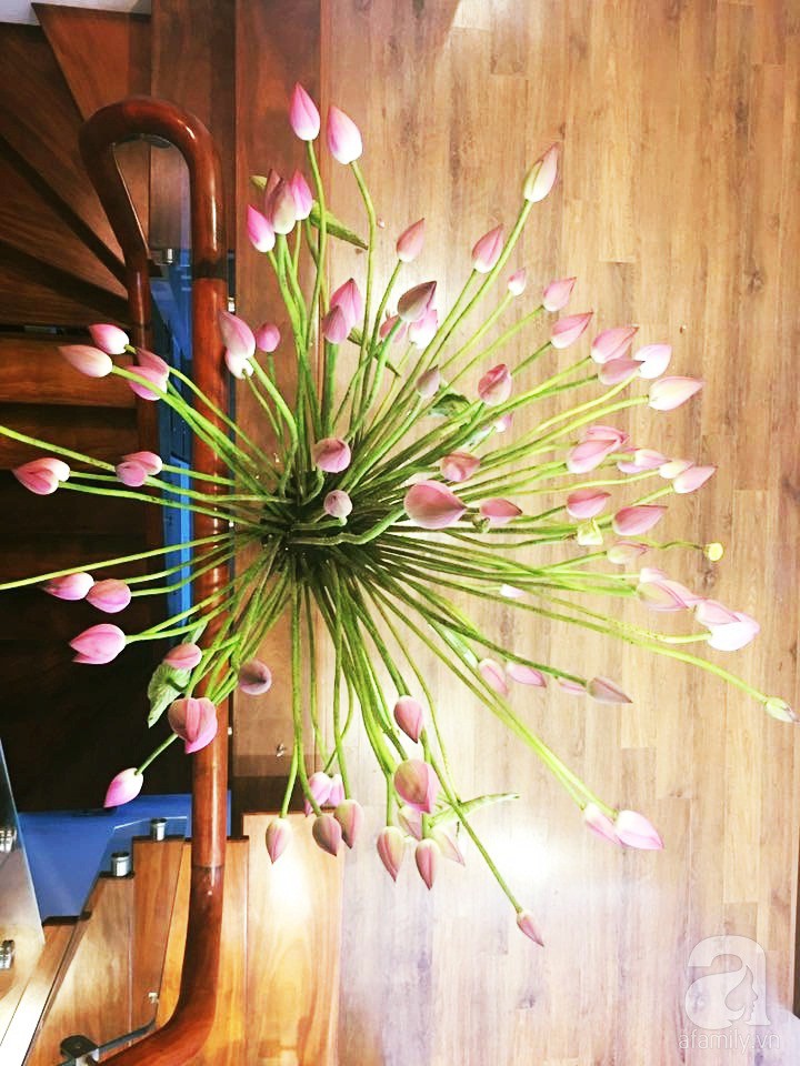 Níu giữ hương mùa hạ với những bình hoa sen đẹp dịu dàng trong tổ ấm của 3 người phụ nữ đảm ở Hà Nội-11