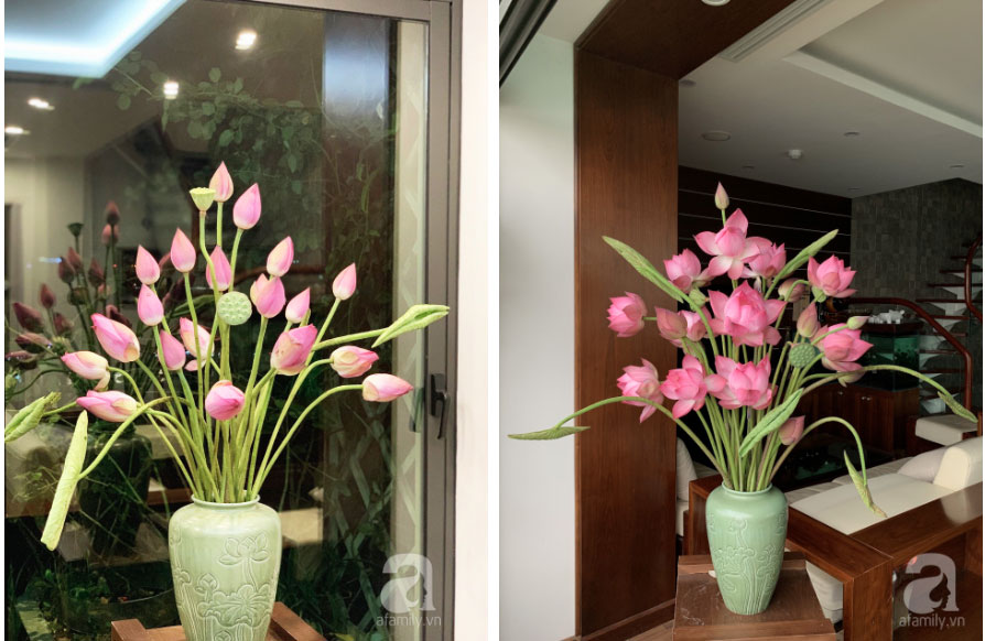Níu giữ hương mùa hạ với những bình hoa sen đẹp dịu dàng trong tổ ấm của 3 người phụ nữ đảm ở Hà Nội-16