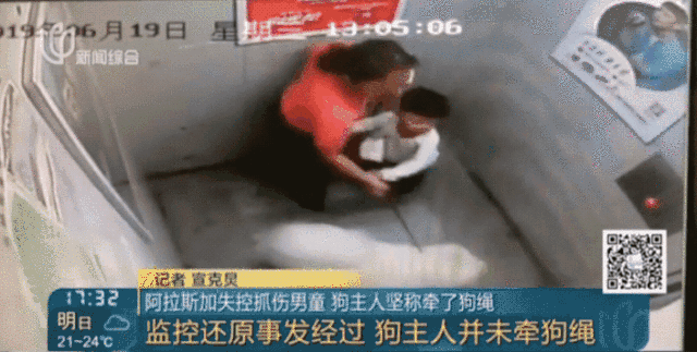 Khoảnh khắc gây sốc: Dắt cháu trai 3 tuổi đi thang máy, bà hoảng hồn phản ứng nhanh cứu mạng cháu bị chó dữ khổng lồ nhảy lên cắn xé-2