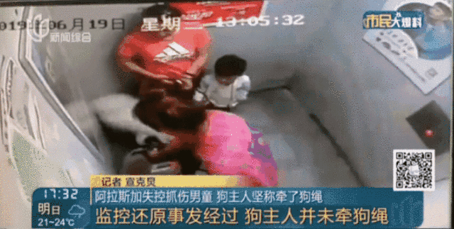 Khoảnh khắc gây sốc: Dắt cháu trai 3 tuổi đi thang máy, bà hoảng hồn phản ứng nhanh cứu mạng cháu bị chó dữ khổng lồ nhảy lên cắn xé-3