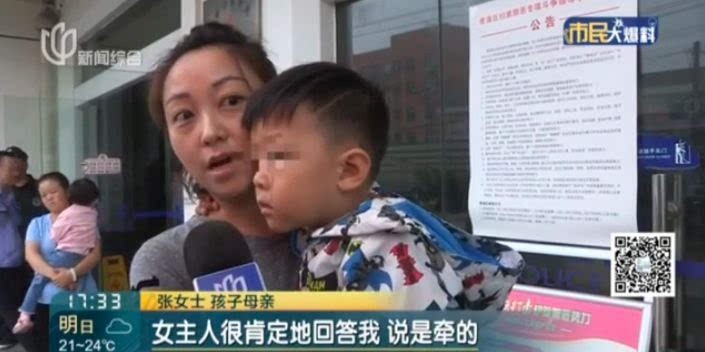 Khoảnh khắc gây sốc: Dắt cháu trai 3 tuổi đi thang máy, bà hoảng hồn phản ứng nhanh cứu mạng cháu bị chó dữ khổng lồ nhảy lên cắn xé-6