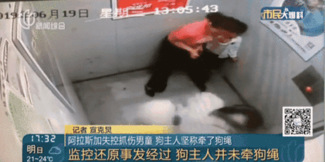 Khoảnh khắc gây sốc: Dắt cháu trai 3 tuổi đi thang máy, bà hoảng hồn phản ứng nhanh cứu mạng cháu bị chó dữ khổng lồ nhảy lên cắn xé-4