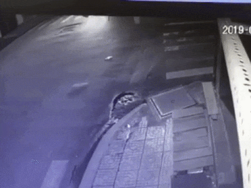 Xe máy thoát chết gang tấc khi container lật nhào-1