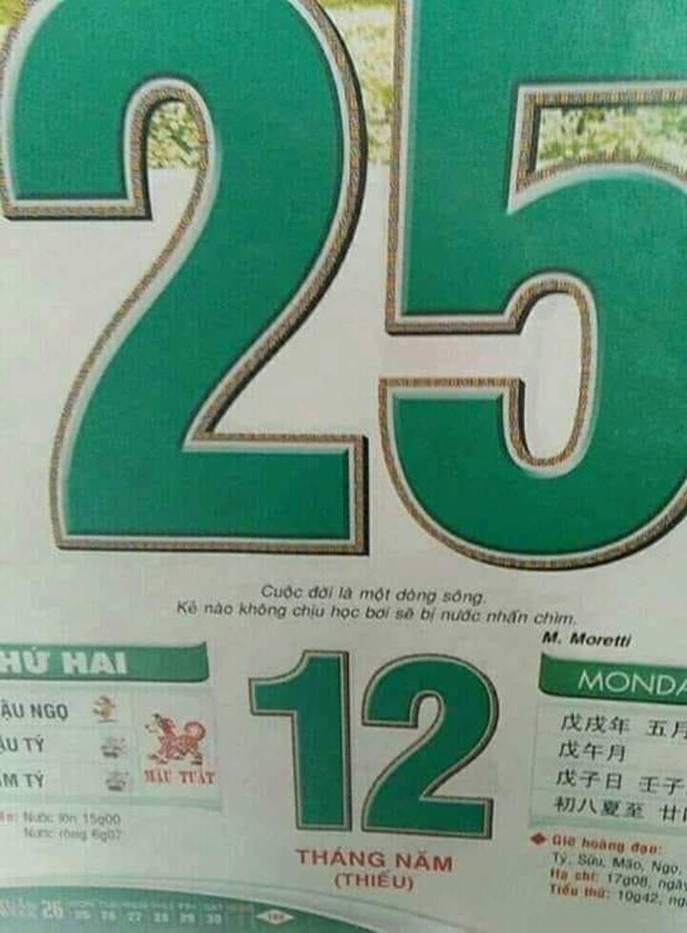 Đây là nam ca sỹ đoán như thần đề thi Văn 2019-11