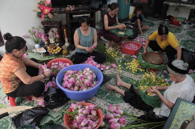 Thiên cổ đệ nhất trà sen của cụ bà U100 Hà Nội, giá 7 triệu đồng/kg-1