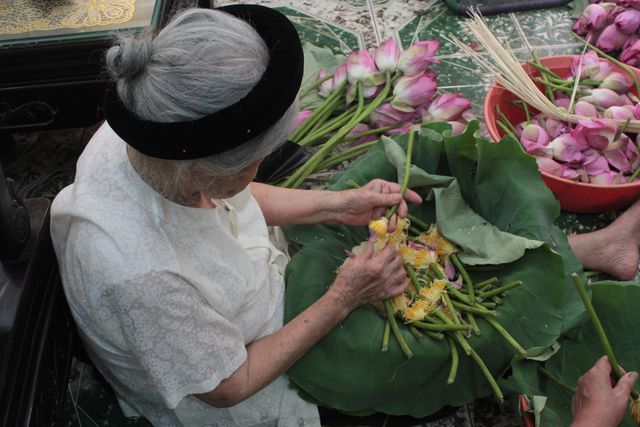 Thiên cổ đệ nhất trà sen của cụ bà U100 Hà Nội, giá 7 triệu đồng/kg-10