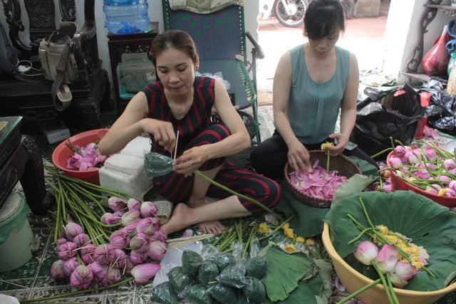 Thiên cổ đệ nhất trà sen của cụ bà U100 Hà Nội, giá 7 triệu đồng/kg-9