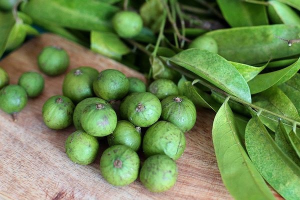 Những người đại kỵ tránh tuyệt đối không được ăn sấu-1