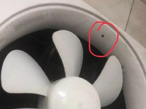 Camera quay lén xuất hiện ở khắp nơi – Góc tối đáng sợ đằng sau sự phát triển của công nghệ-8