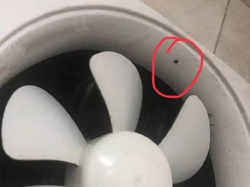 Thuê phòng trọ ở nửa năm, người đàn ông tá hỏa phát hiện camera quay lén trong nhà tắm được lắp tinh vi trên thành quạt thông gió