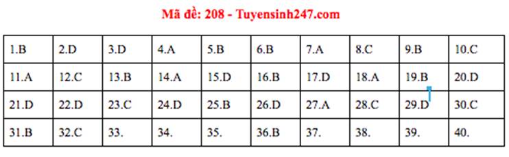 Đáp án đề thi môn Vật lý THPT quốc gia 2019 (tất cả 24 mã đề)-5