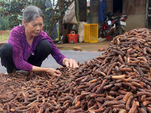 Câu chuyện thú vị về chàng trai đưa ống hút tre Việt Nam ra thế giới: Thu gần 10 tỷ đồng/tháng, 12 năm miệt mài thi ĐH vì đam mê-13