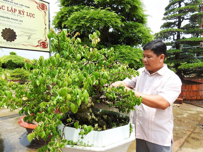 Bỏ lỡ đại học Bách khoa ra lại làm chủ vườn kiểng 100 tỷ-1