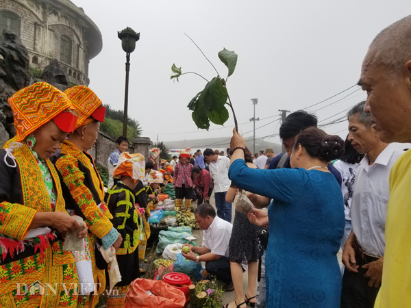 Đặc sản xứ Lạng: Rùa đá nhốt rọ, quả lạ vàng rực, rết độc nhốt chai-1