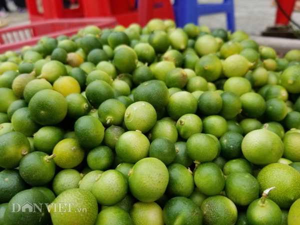 Đặc sản xứ Lạng: Rùa đá nhốt rọ, quả lạ vàng rực, rết độc nhốt chai-11