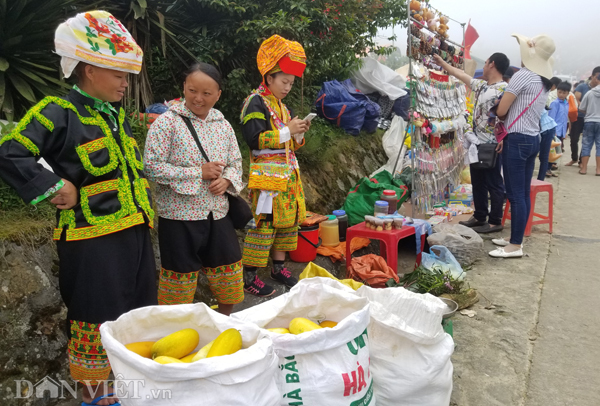 Đặc sản xứ Lạng: Rùa đá nhốt rọ, quả lạ vàng rực, rết độc nhốt chai-3