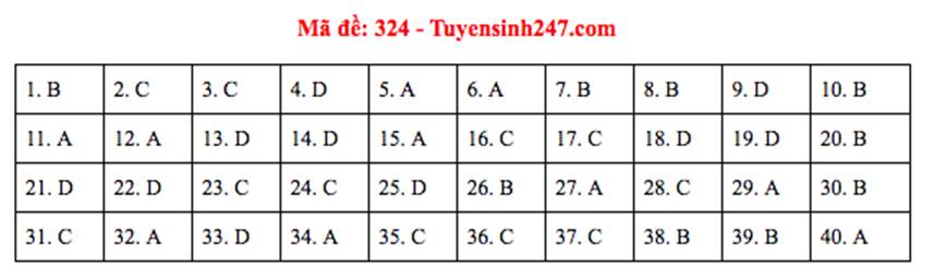 Đáp án đề thi Lịch sử THPT Quốc gia 2019 (tất cả mã đề)-4