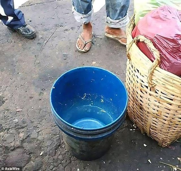 Đưa con nhỏ đi bán rau cùng rồi ngủ say, cặp vợ chồng ám ảnh cả đời khi thức dậy-1