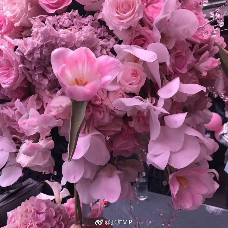 Nhìn lại màn cầu hôn đậm chất ngôn tình của Lý Thần 2 năm trước: Chàng run rẩy quỳ gối nói lời yêu, nàng bất ngờ, hạnh phúc đến rơi lệ-11