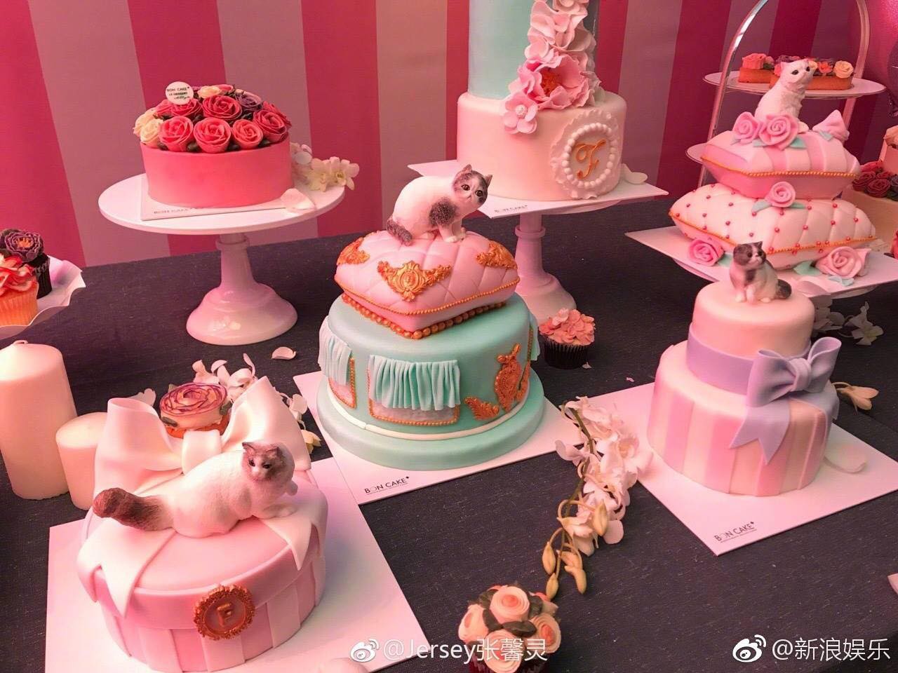 Nhìn lại màn cầu hôn đậm chất ngôn tình của Lý Thần 2 năm trước: Chàng run rẩy quỳ gối nói lời yêu, nàng bất ngờ, hạnh phúc đến rơi lệ-9