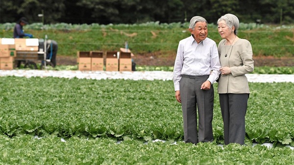 Cuộc sống của vợ chồng Nhật hoàng sau 2 tháng thoái vị, đáng lo nhất là cựu Hoàng hậu Michiko khiến người dân đứng ngồi không yên-2