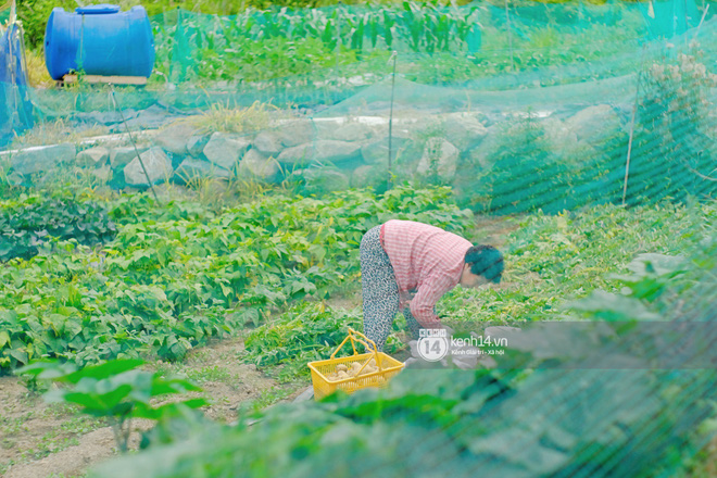 Nhà bố mẹ Song Song vẫn văng vẳng giọng nói Song Hye Kyo, chiếc xe trẻ con yên bình giữa bão ly dị-12