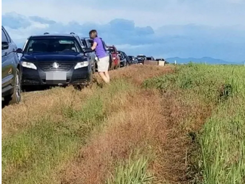 Phì cười với biển quảng cáo iPhone ngay cạnh thành phố thông minh của Google-3