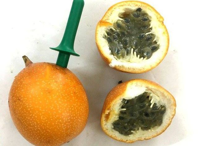 Chanh leo Colombia mốc meo giá gần triệu bạc/kg cháy hàng” trong ngày hè nắng nóng-3