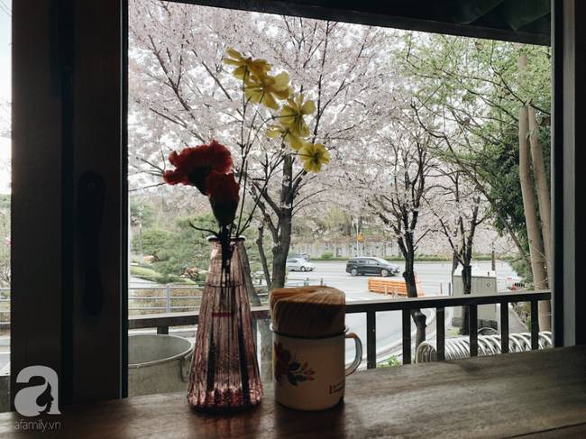 Siêu bất ngờ: Ẩm thực Việt Nam là món ăn ngoại quốc đang được săn lùng nhiều nhất tại Hàn Quốc-20