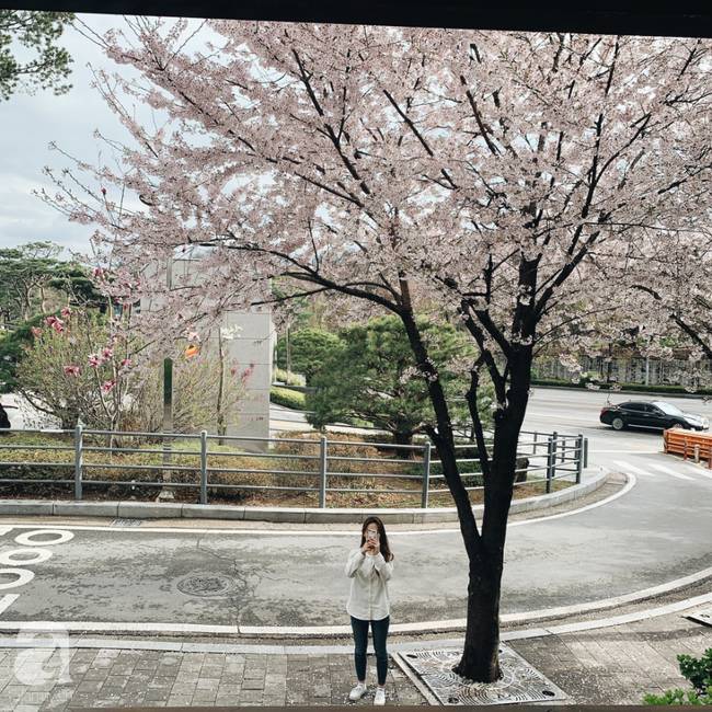 Siêu bất ngờ: Ẩm thực Việt Nam là món ăn ngoại quốc đang được săn lùng nhiều nhất tại Hàn Quốc-21