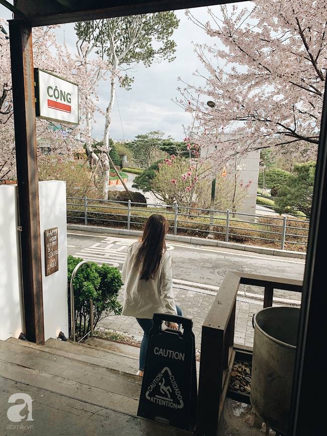 Siêu bất ngờ: Ẩm thực Việt Nam là món ăn ngoại quốc đang được săn lùng nhiều nhất tại Hàn Quốc-22